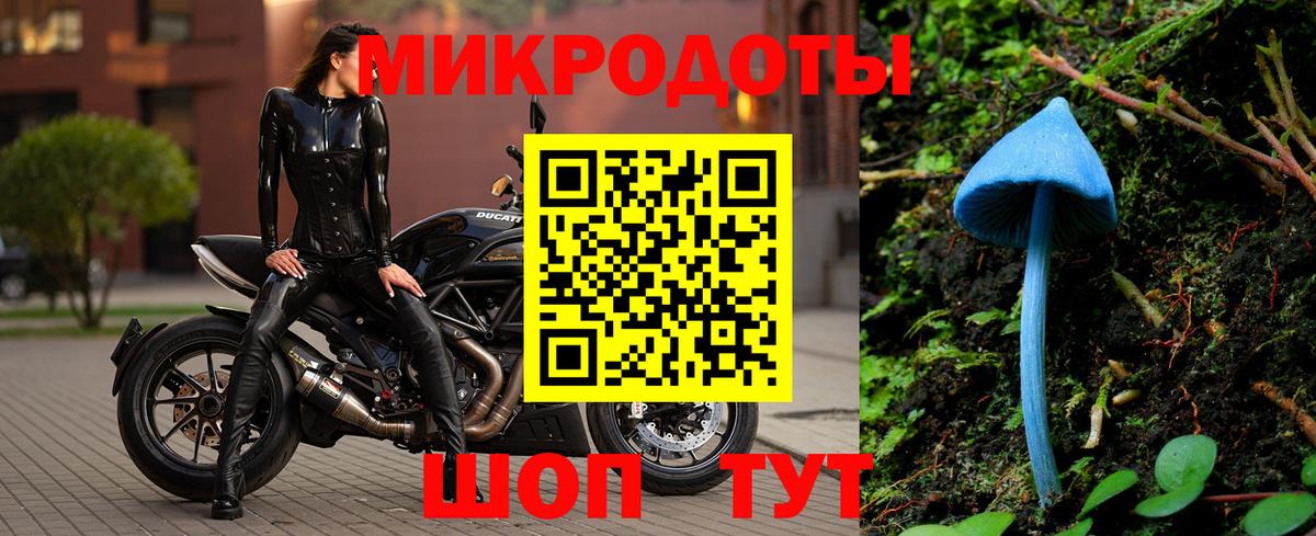 Красногорск  Псилоцибиновые грибы мухоморы  Вход с VPN 